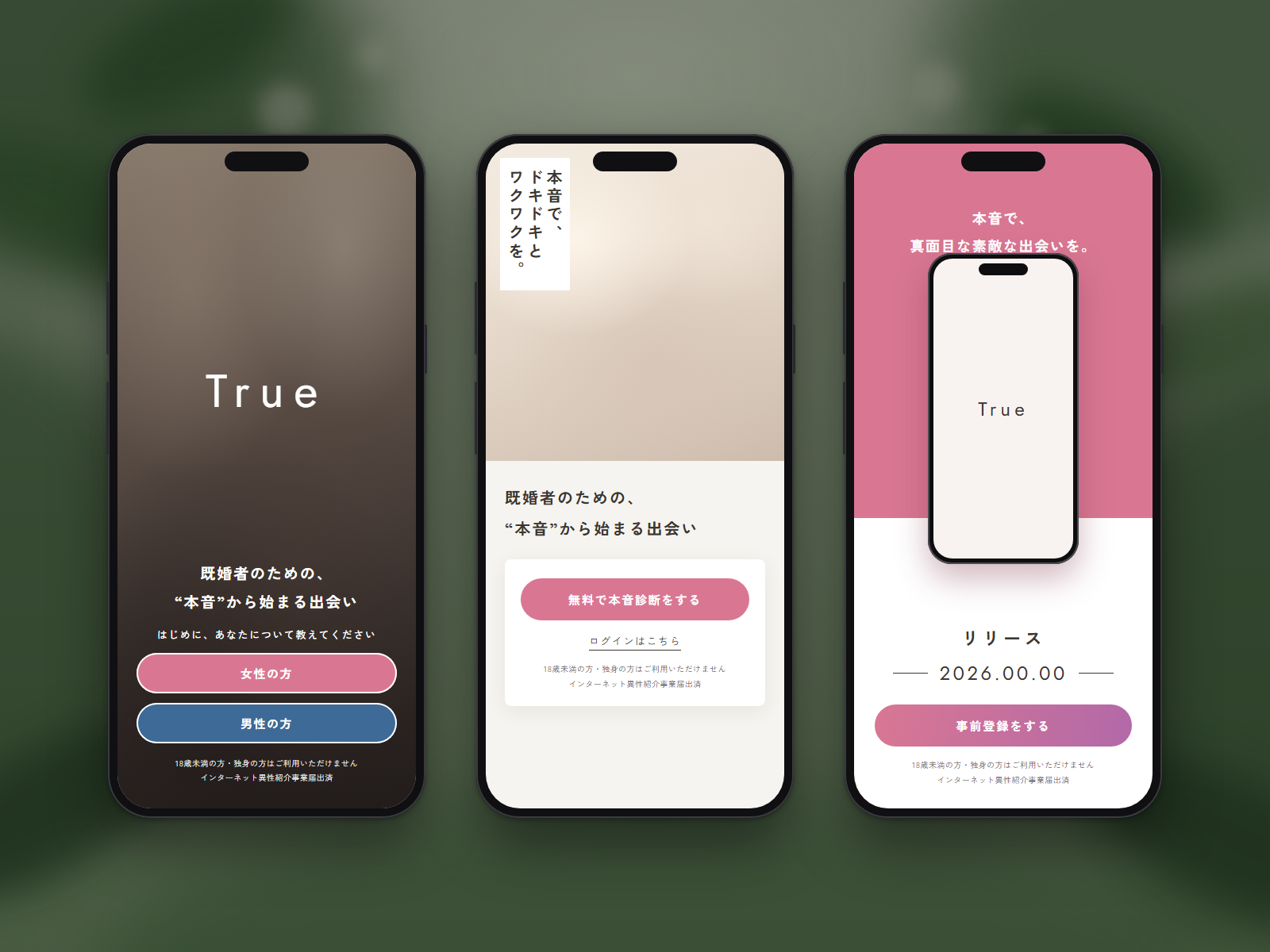 Trueの画面イメージ